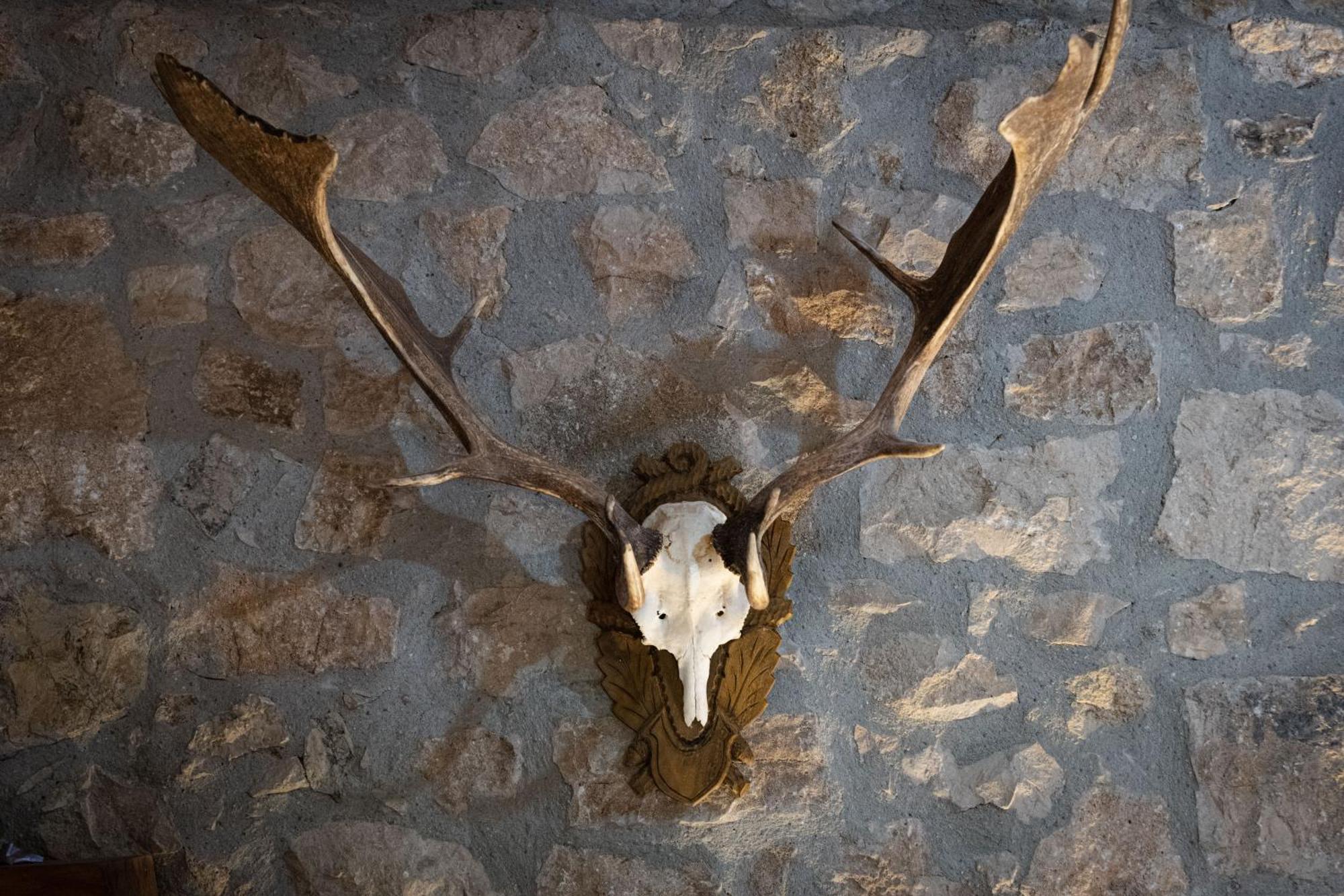 Country Relais La Torretta Baronale Guest House San Giorgio del Sannio Luaran gambar