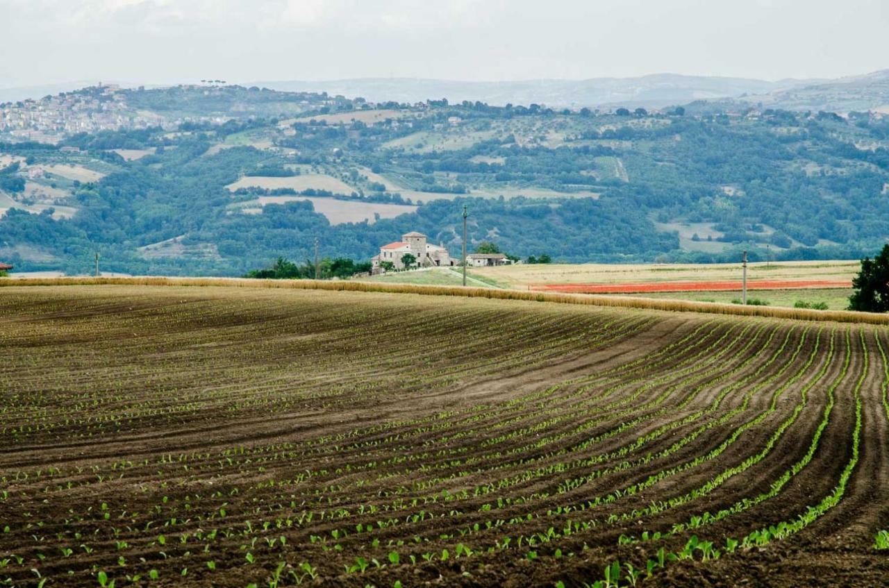 Country Relais La Torretta Baronale Guest House San Giorgio del Sannio Luaran gambar